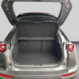 Mazda MX-30 35,5kWh GTE+ Premium Modern